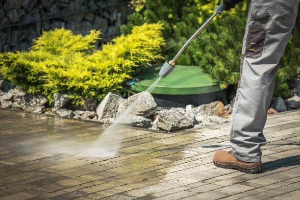 Best Fence Cleaning  in Cloverleaf, TX